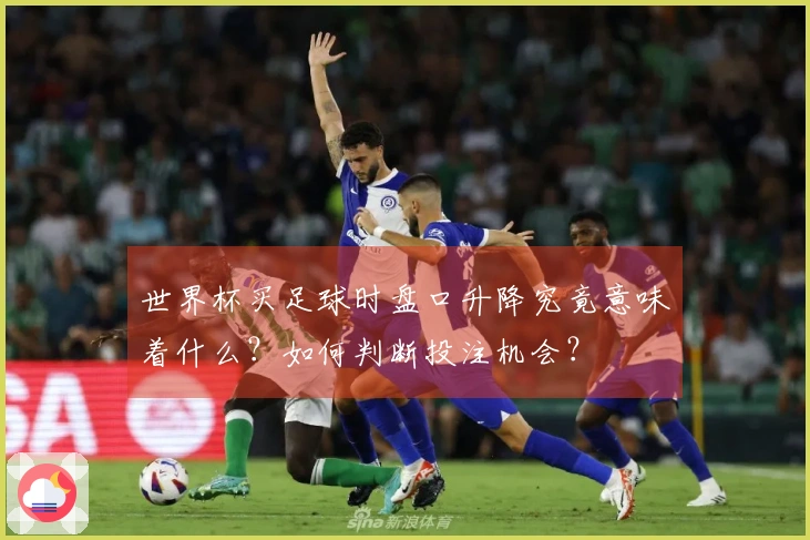MK体育体育资讯图片