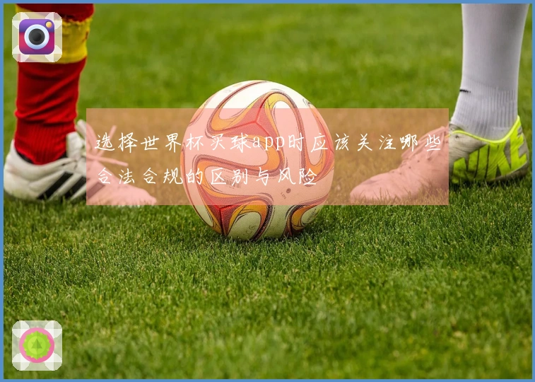 选择世界杯买球app时应该关注哪些合法合规的区别与风险