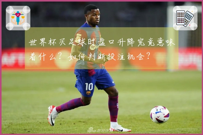 世界杯买足球时盘口升降究竟意味着什么？如何判断投注机会？