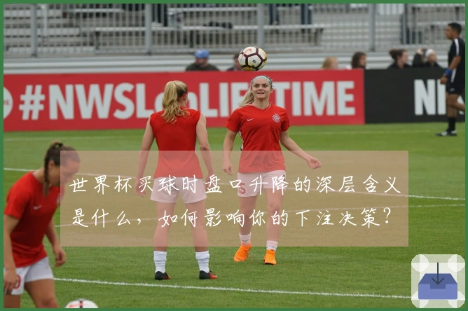 世界杯买球时盘口升降的深层含义是什么，如何影响你的下注决策？