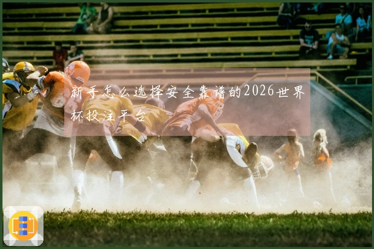 新手怎么选择安全靠谱的2026世界杯投注平台