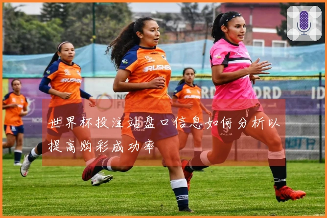 MK体育体育资讯图片